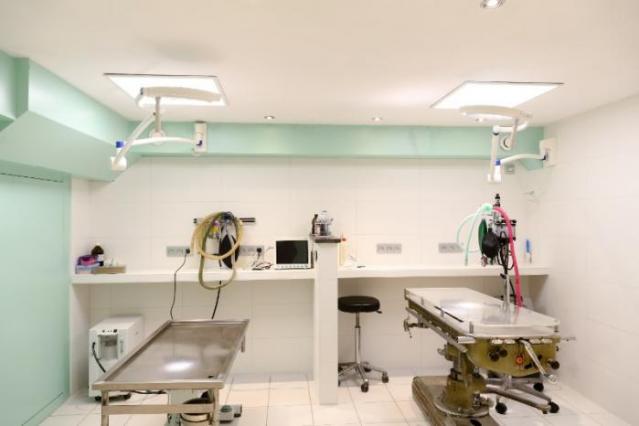 salle opération vétérinaire