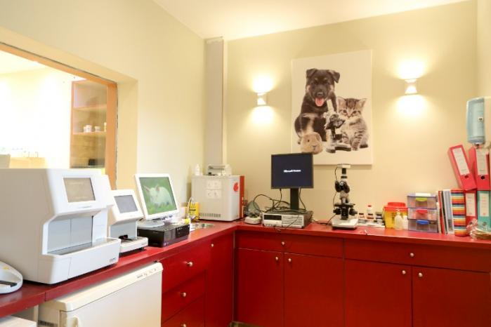 analyser la biologie animale